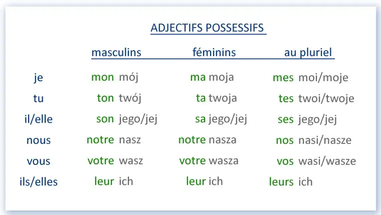 Francuskie przymiotniki dzierżawcze tabela odmiany