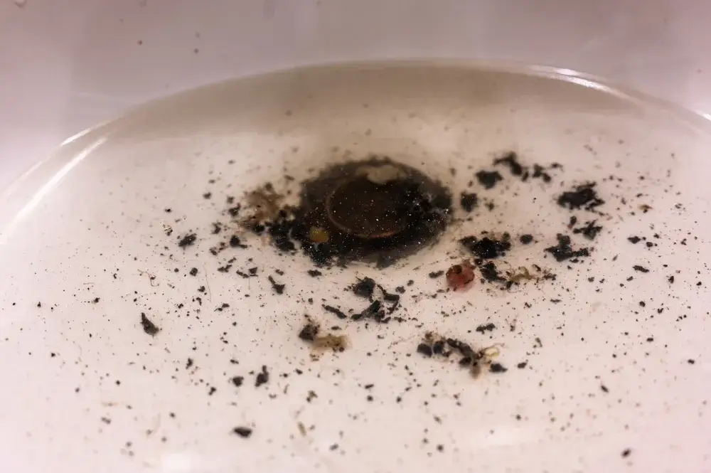 Najczęstsze przyczyny zator&oacute;w w rurach domowych