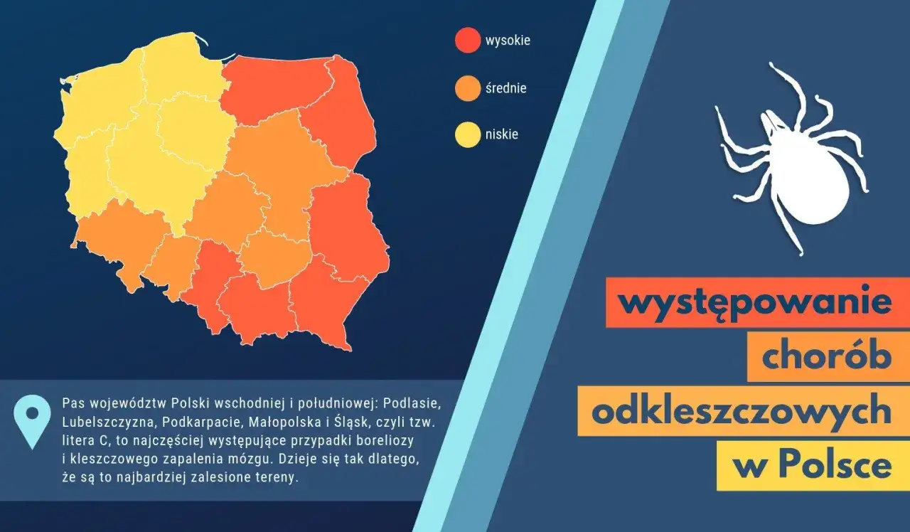 Mapa ryzyka boreliozy w Polsce