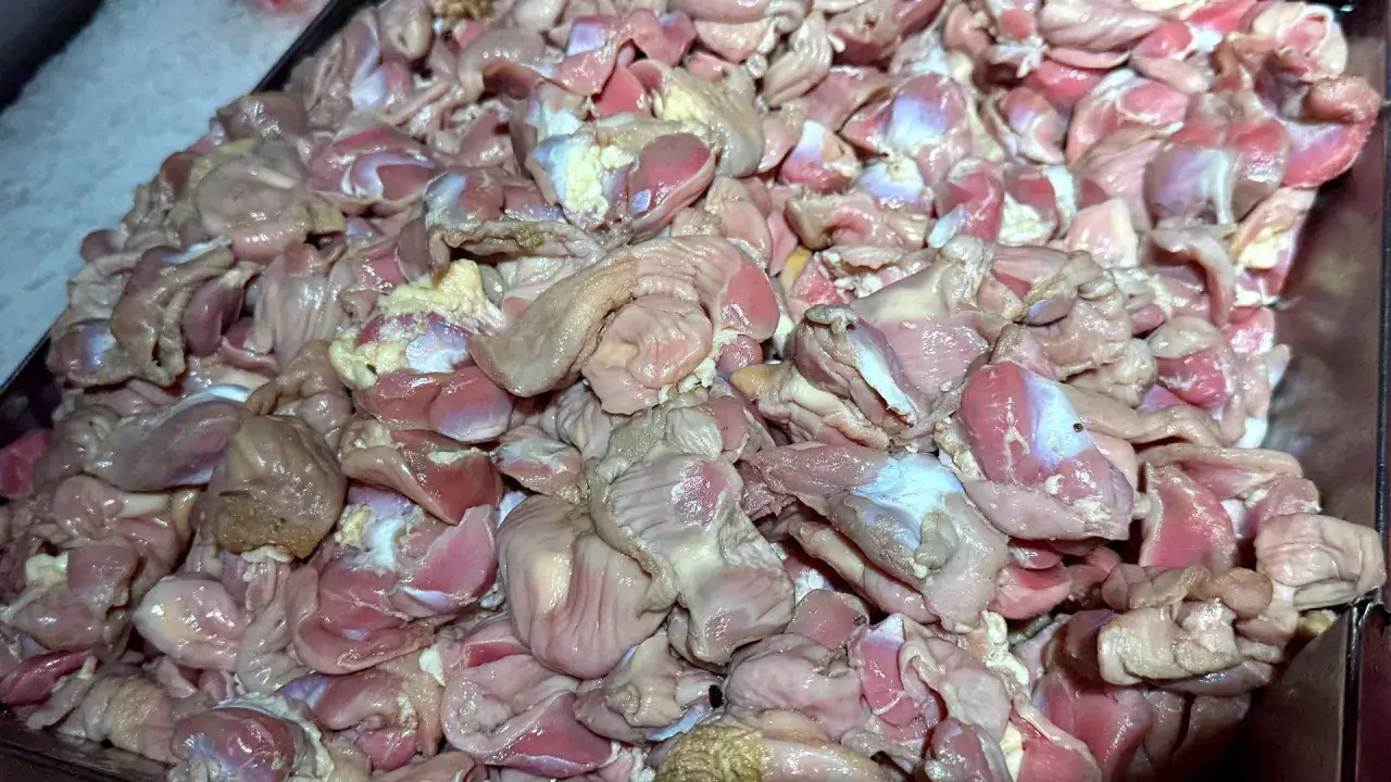 Surowe żołądki z kurczaka, bogate w białko. Czy żołądki z kurczaka są zdrowe? Tak, to wartościowy składnik diety.