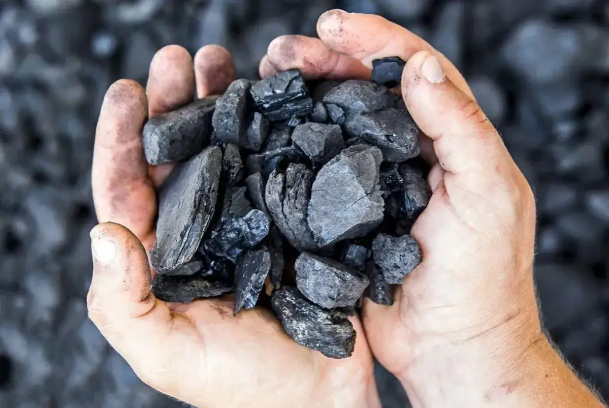 Zdjęcie Najlepsze składy węgla na Śląsku – gdzie kupić tani i dobry węgiel?