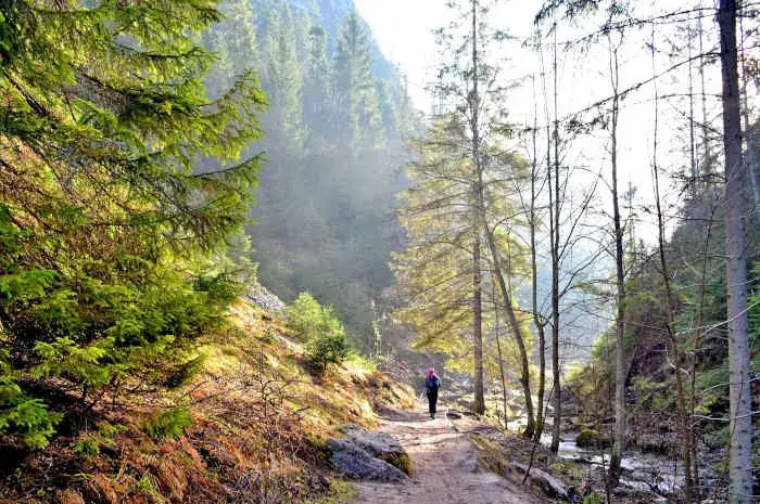 Zdjęcie Najpiękniejsze rezerwaty przyrody w Polsce przykłady i ich wyjątkowe walory