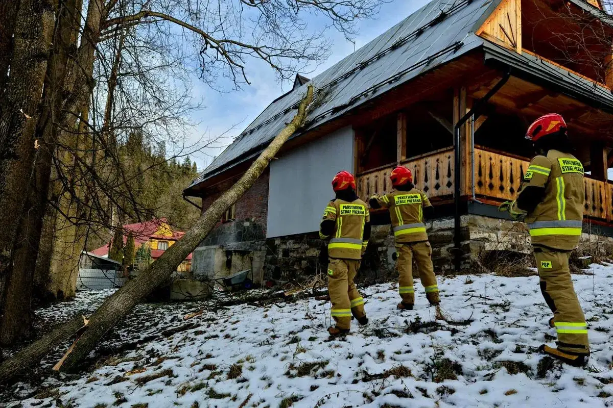 Strażacy oceniają szkody po wichurze w g&oacute;rach. Powalone drzewo leży na dachu domu.