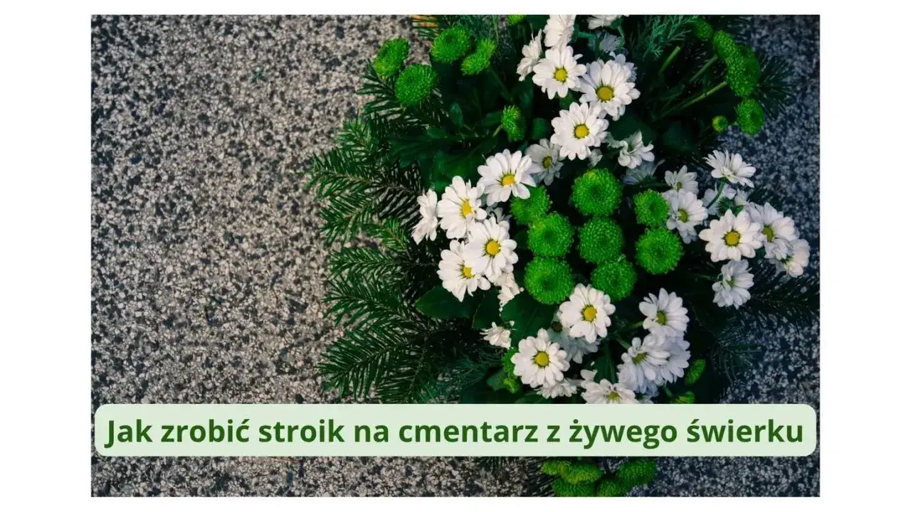 Jak zrobić stroik z żywych kwiatów na cmentarz? Kompozycja z białych chryzantem, zielonych kulek i gałązek świerku na kamiennym tle.
