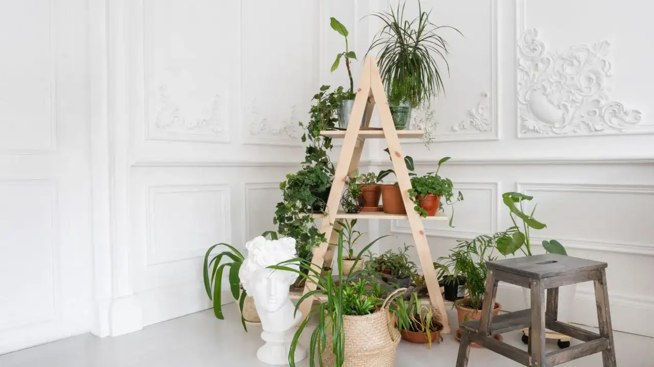 inspiracje na kwietnik z drewnianej drabiny w salonie