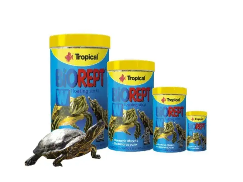 Zakazane pokarmy dla żółwia lądowego