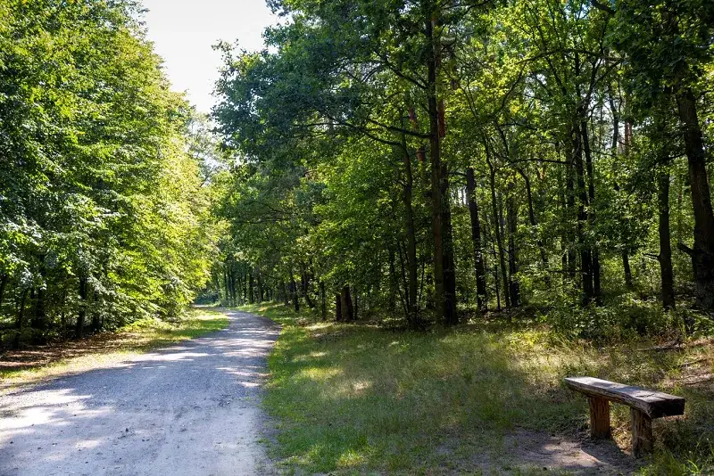Kampinoski Park Narodowy szlak rowerowy