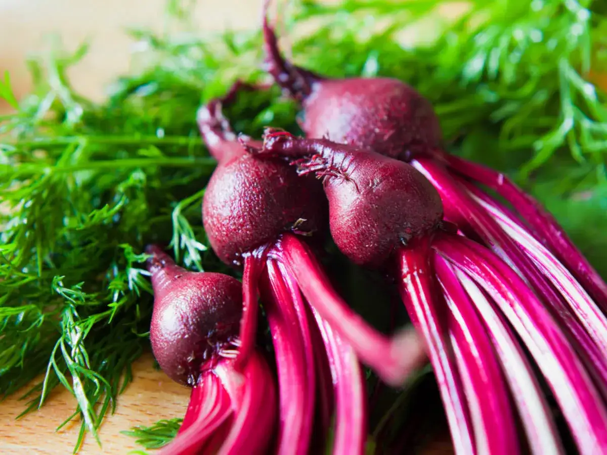 Wartości odżywcze botwinki i buraka