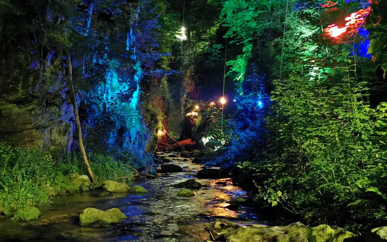 Nastrojowy strumień w lesie, oświetlony kolorowymi światłami. Wodospad Wilczki nocą zamienia się w magiczne miejsce.