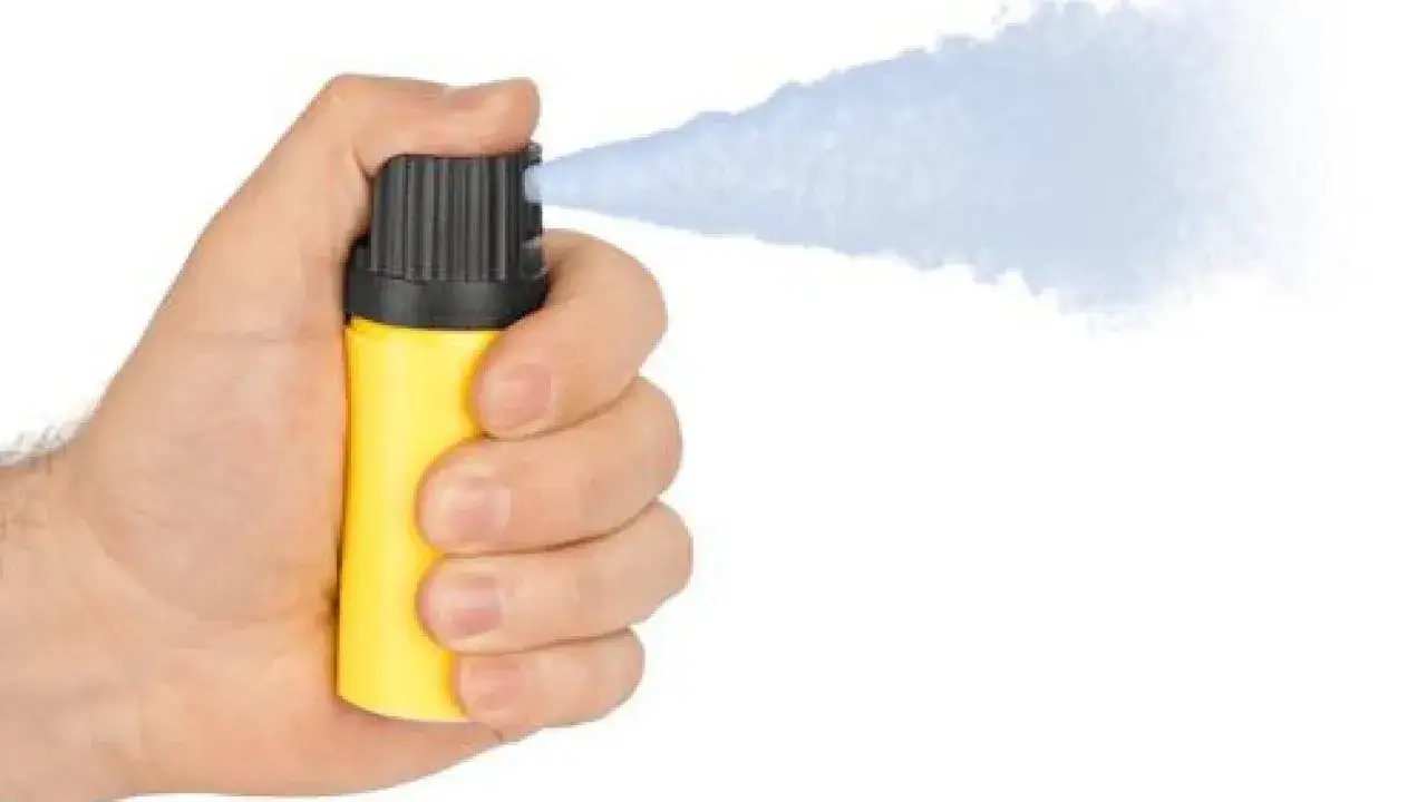 Rodzaje gazów pieprzowych na psy