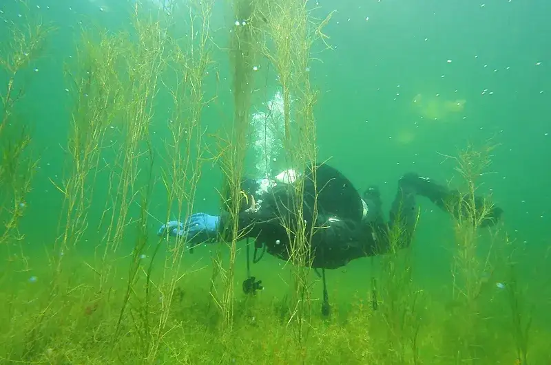 nurkowanie jezioro świętajno narckie pod wodą