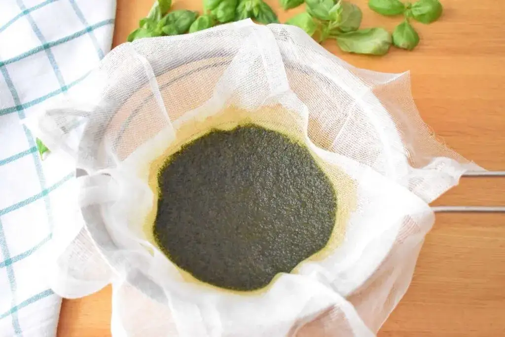 Zdjęcie Jak zrobić oliwę bazyliową w prosty sposób i zaskocz swoich gości