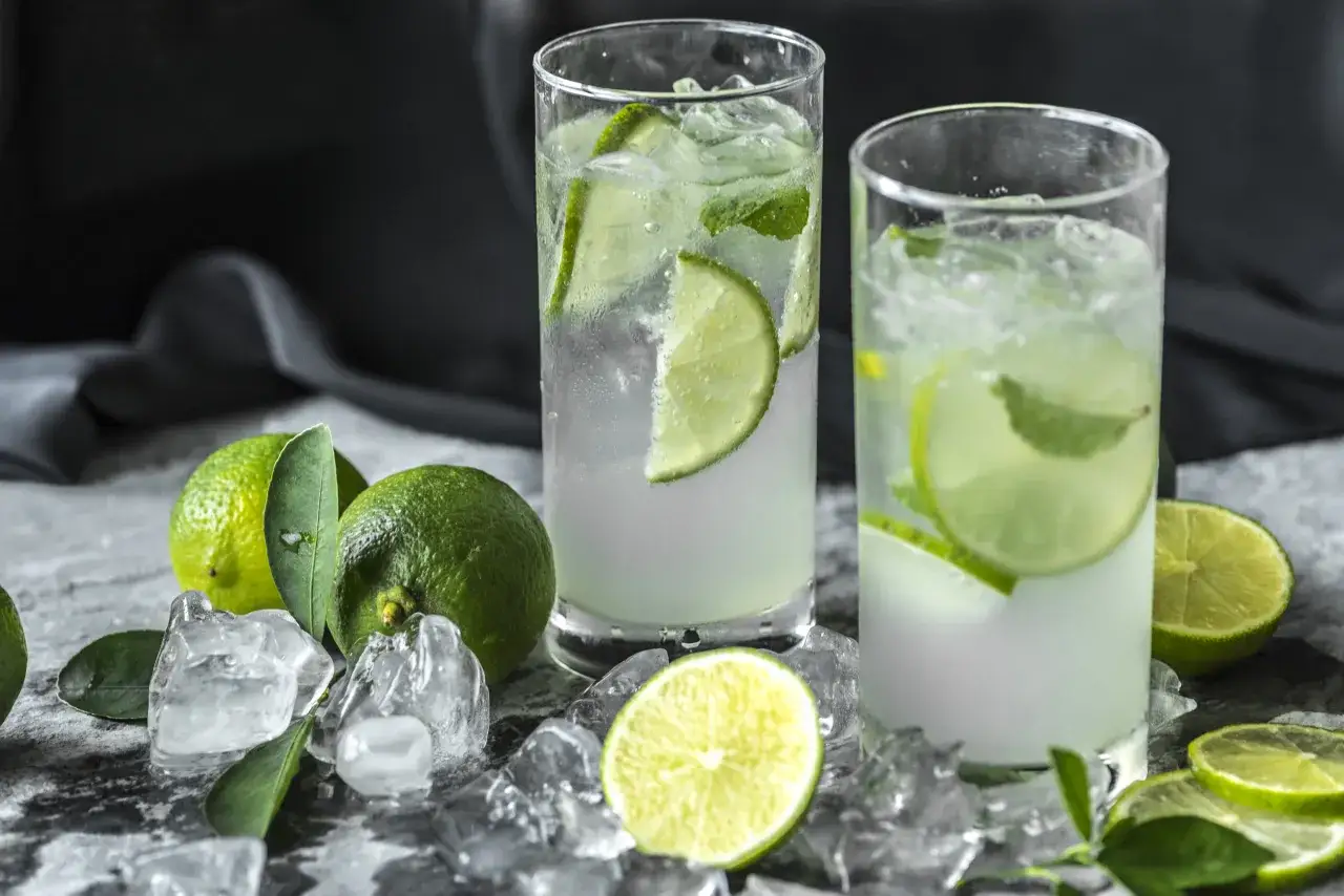 składniki na mojito flat lay