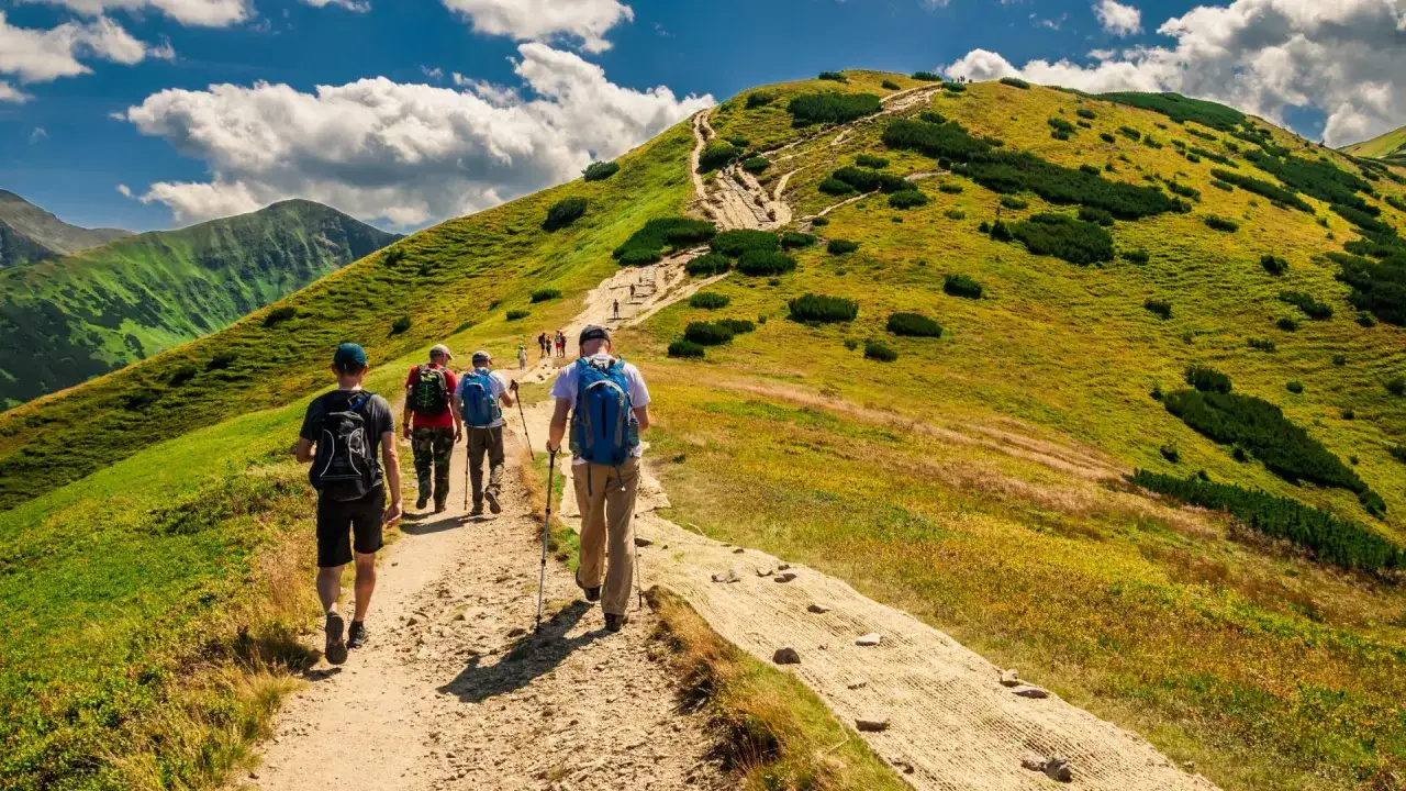 Grupa turyst&oacute;w wędruje po malowniczym szlaku g&oacute;rskim. To świetny spos&oacute;b, by dowiedzieć się, jak zacząć chodzić po g&oacute;rach.