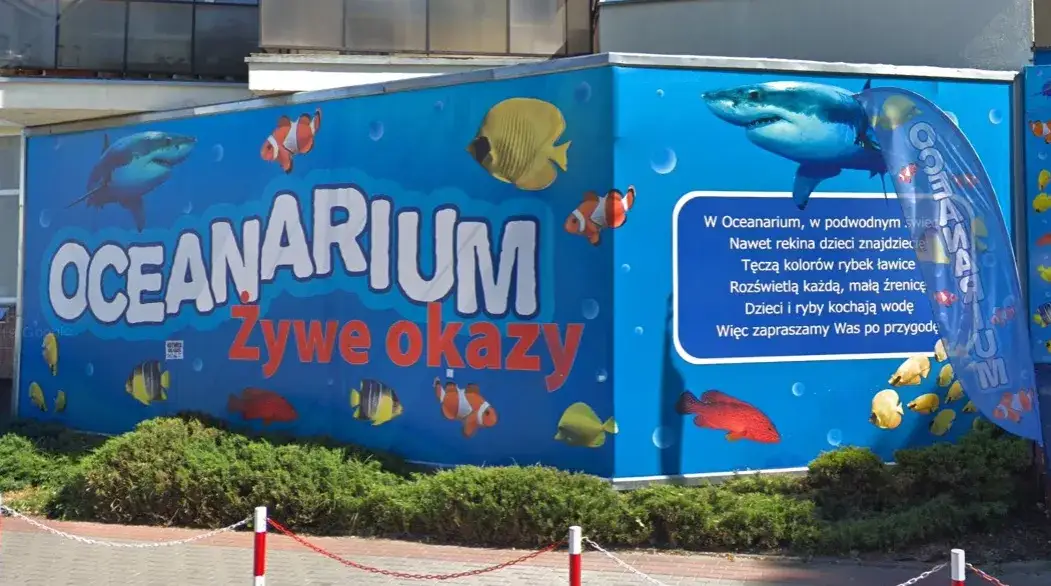 Zdjęcie Kołobrzeg atrakcje dla dzieci: oceanarium, które zachwyci maluchy