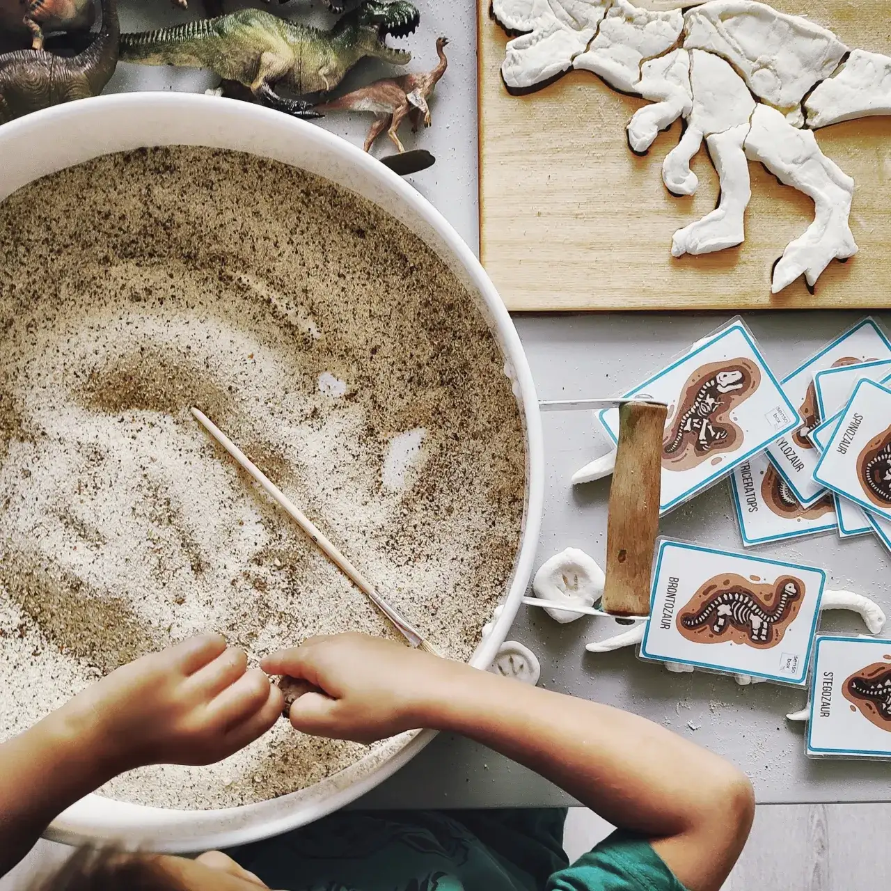 Zdjęcie Taca sensoryczna – jak wspiera rozwój dziecka i wybierać najlepsze modele