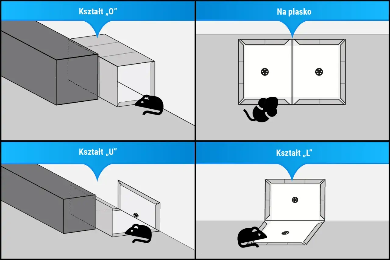 Zdjęcie Skutecznie pozbędziesz się myszy z elewacji: sprawdzone sposoby i porady