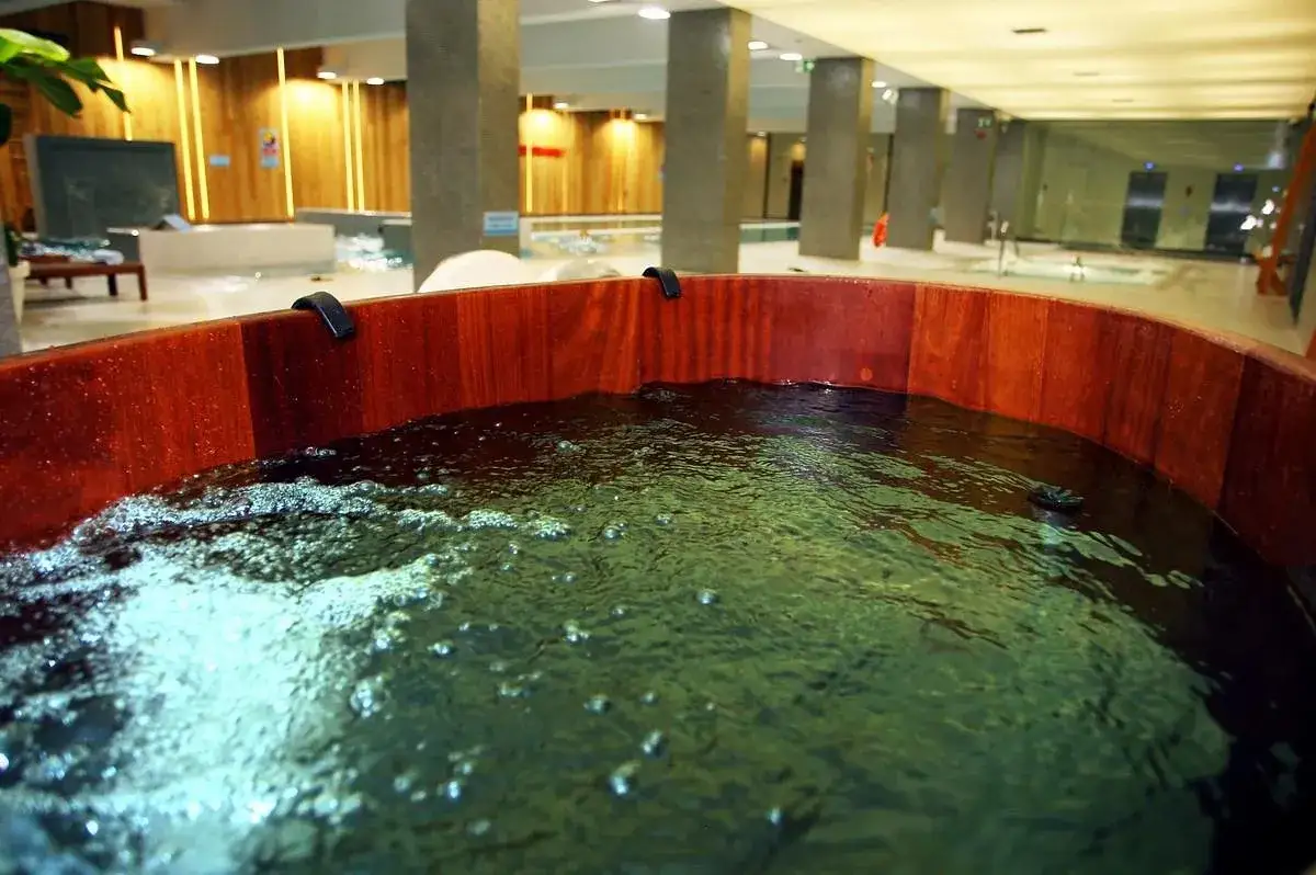 Zdjęcie Hotel Skansen Spa - relaks w luksusowym spa i wyjątkowe atrakcje