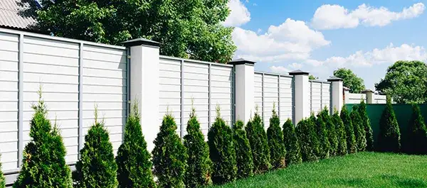 Zdjęcie Jak zasłonić ogrodzenie panelowe: 8 skutecznych sposobów