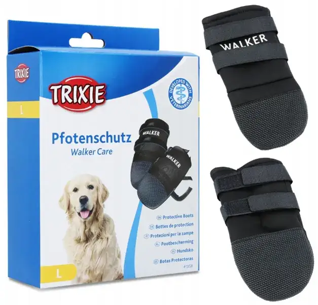 Zdjęcie Jak zrobić buty dla psa - proste kroki, aby chronić jego łapy