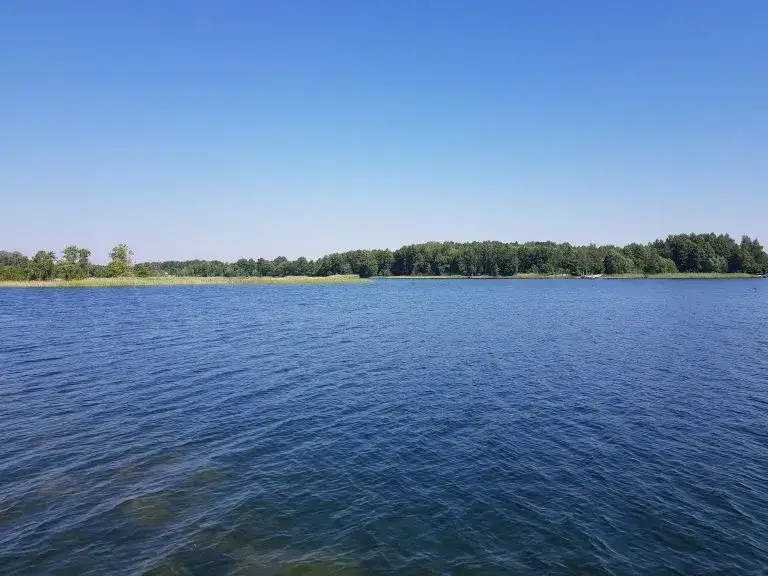 Zdjęcie Jezioro Gostyńskie – idealne miejsce na relaks i wędkowanie w naturze