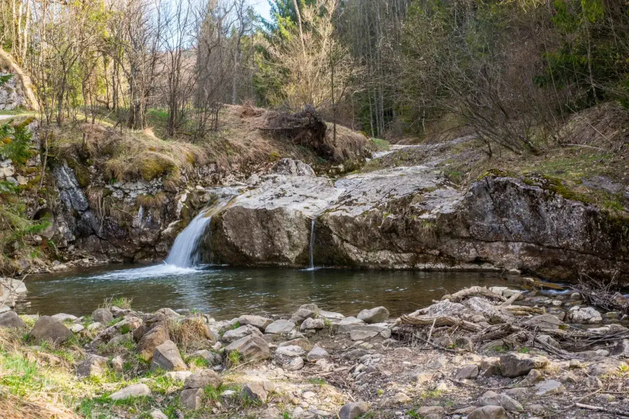 Wąw&oacute;z Homole Pieniny