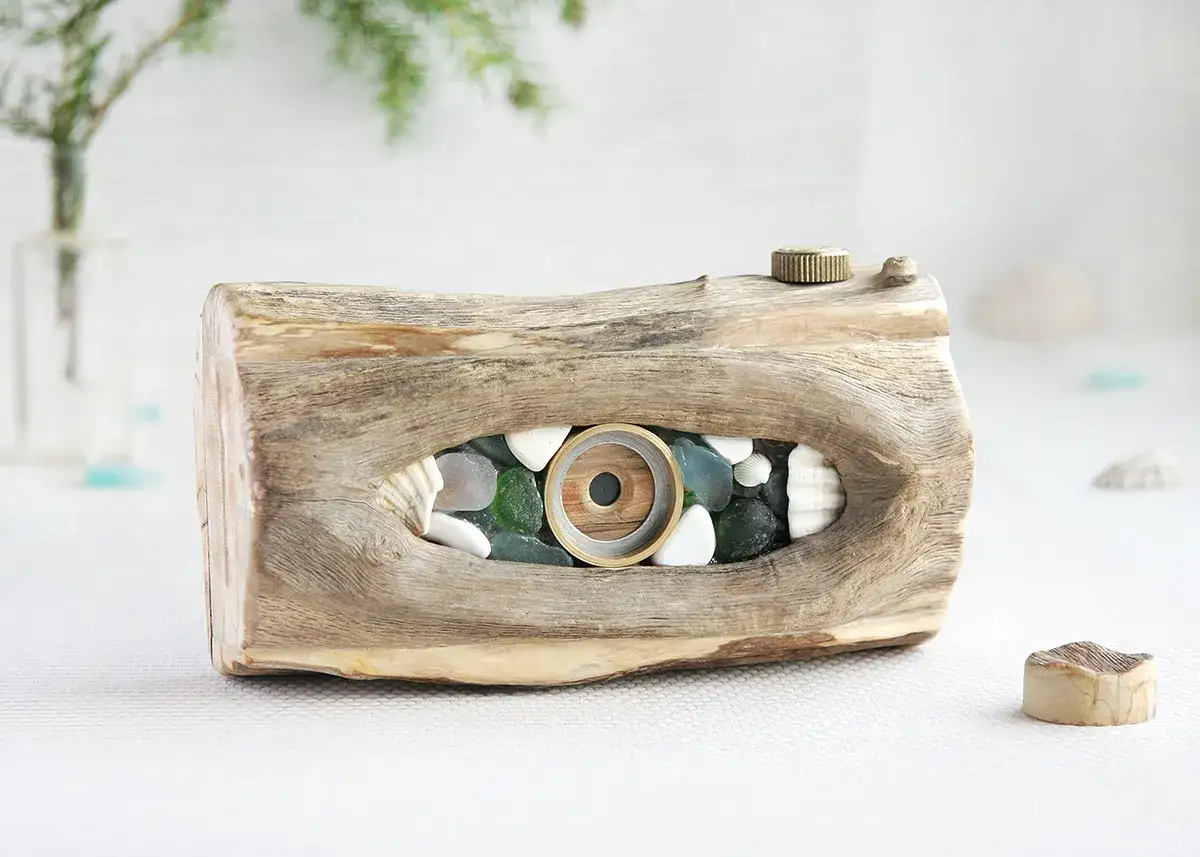 Oryginalna fotografia otworkowa z drewna dryfującego, wypełniona szkłem morskim i muszlami.