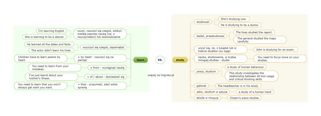 r&oacute;żnice między learn study teach