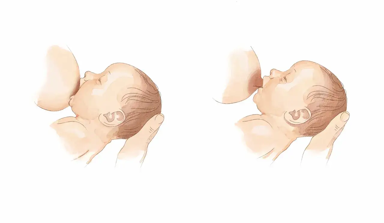 Dwie ilustracje pokazujące pozycję klasyczną do karmienia piersią. Dziecko jest podtrzymywane przez rękę matki.