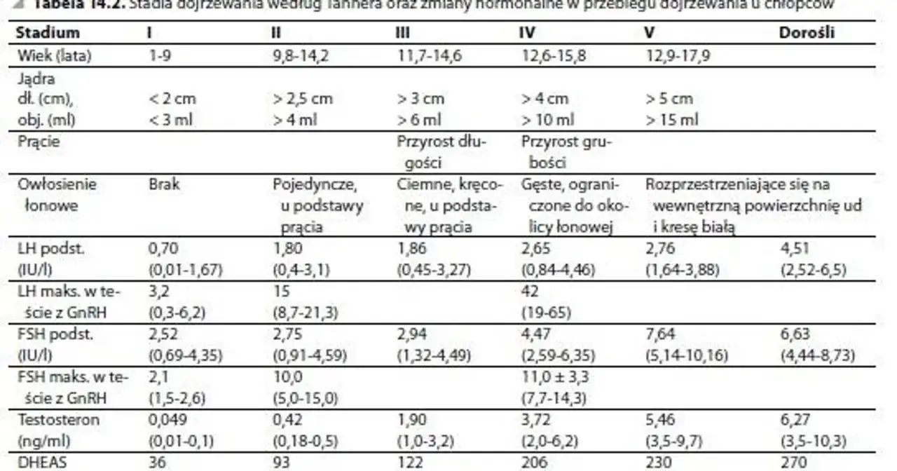 Lekarz bada dziecko skala Tannera