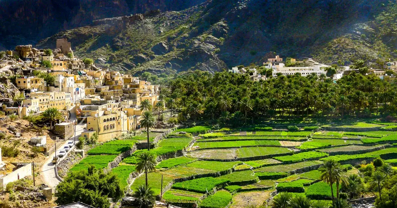 Malownicze tarasy uprawne i tradycyjna zabudowa w pobliżu Bahla Fort w Omanie.