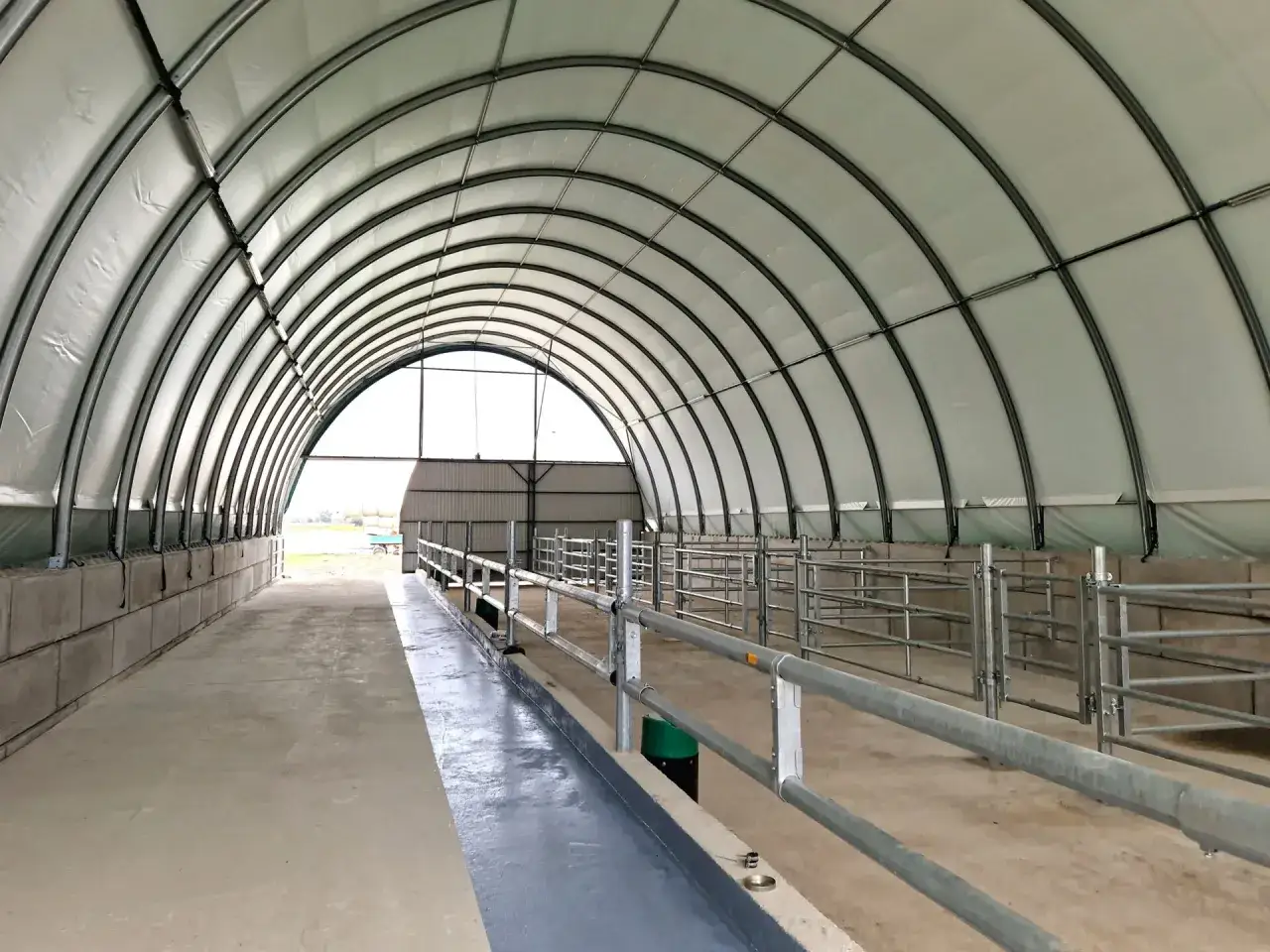 Nowa, tania obora dla bydła mięsnego z metalowymi przegrodami i betonowymi ścianami bocznymi. Jasne, przestronne wnętrze z łukowatym dachem.