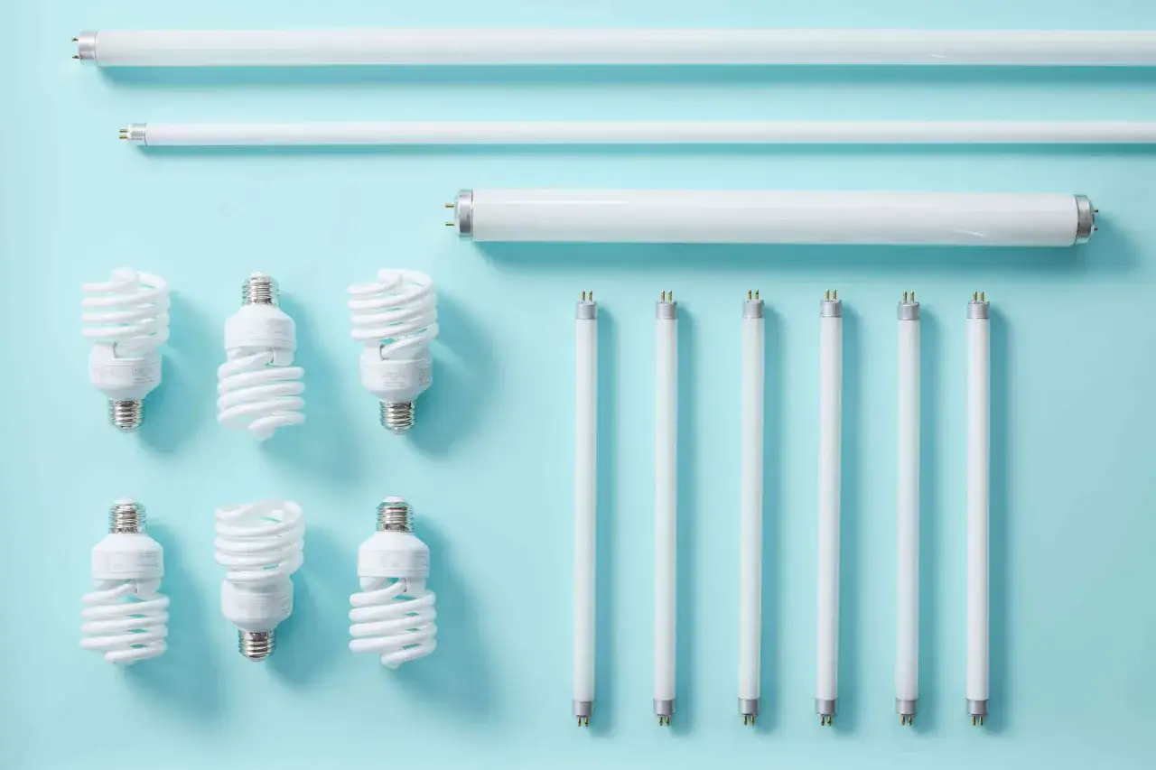 R&oacute;żne rodzaje świetl&oacute;wek: długie rurowe, kompaktowe spiralne i jedna grubsza rurowa. Widać oznaczenia na niekt&oacute;rych z nich.