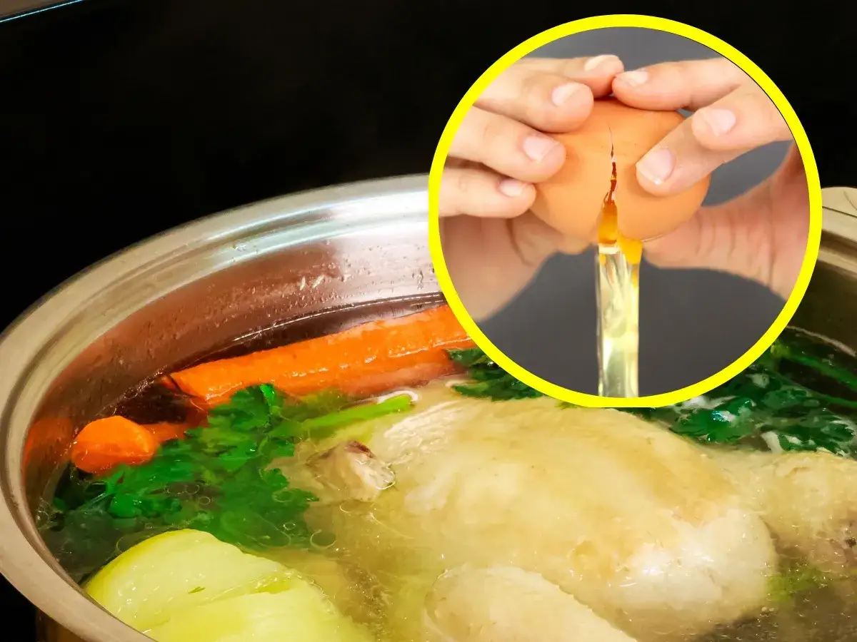 białko jajka w rosole