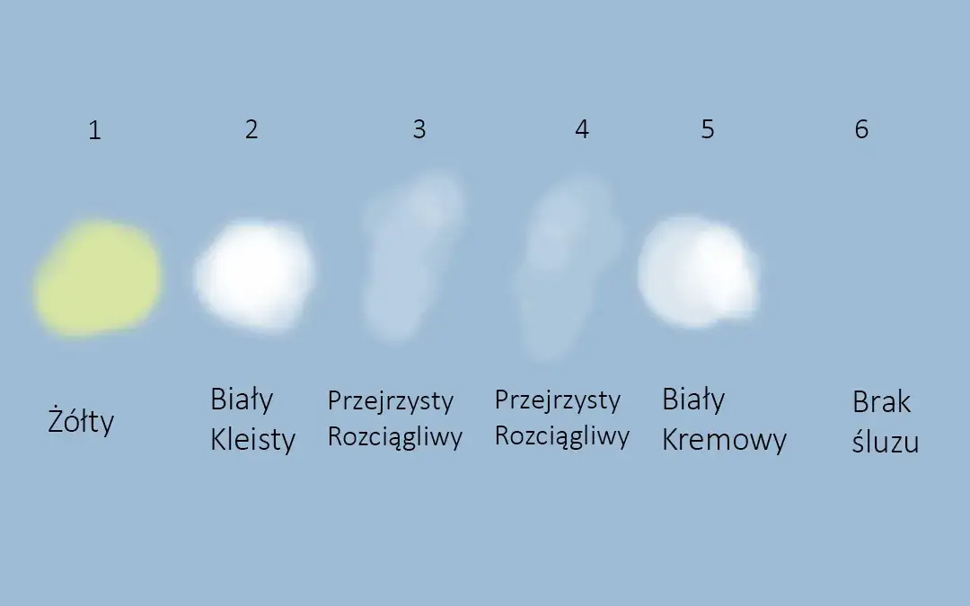 rodzaje śluzu szyjkowego owulacja