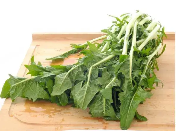 varietà di cicoria per insalata