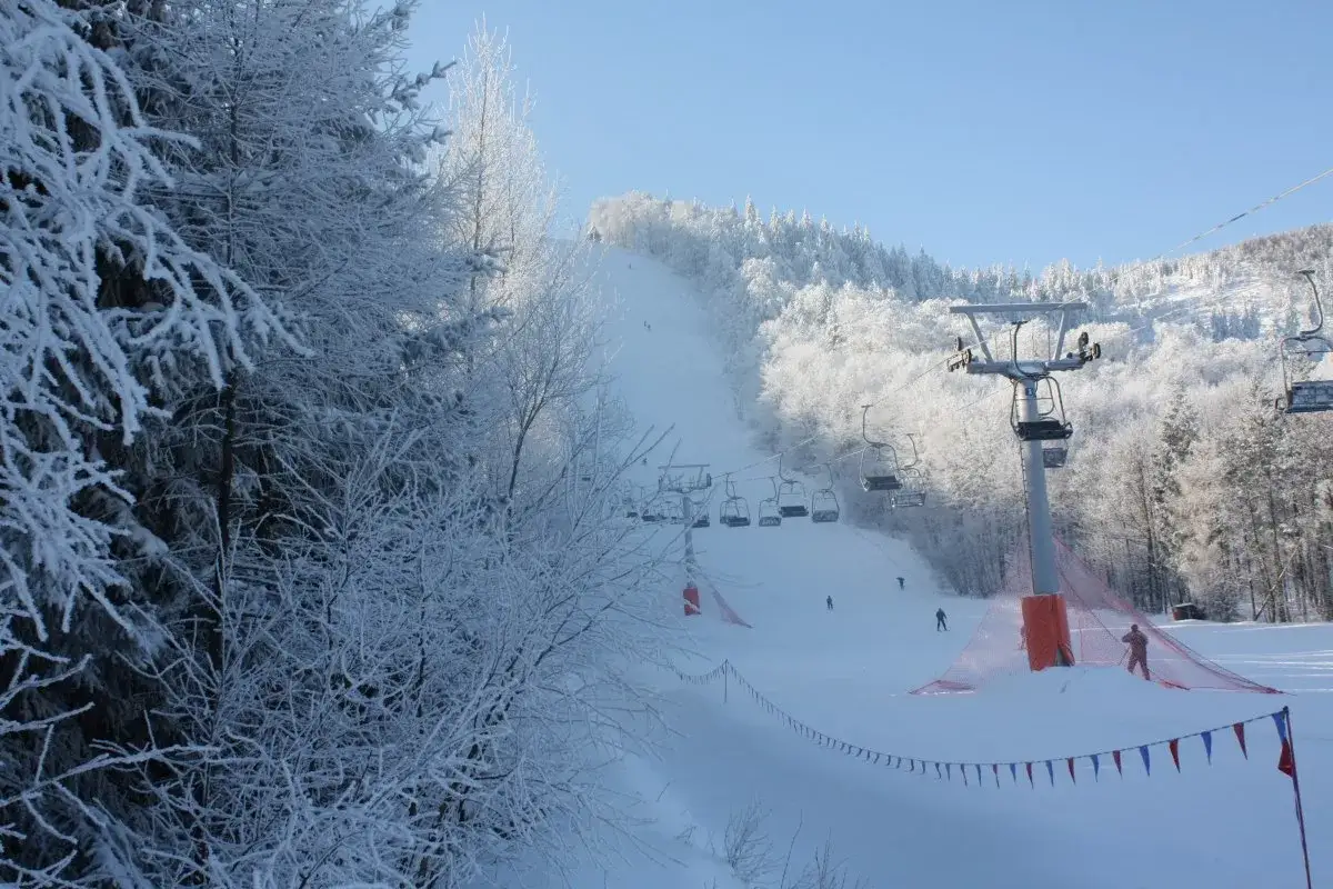 Dzikowiec Bogusz&oacute;w-Gorce wypożyczalnia szkoła narciarska