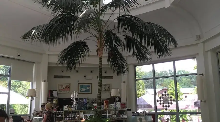 Pijalnia Czekolady E. Wedel Nałęczów