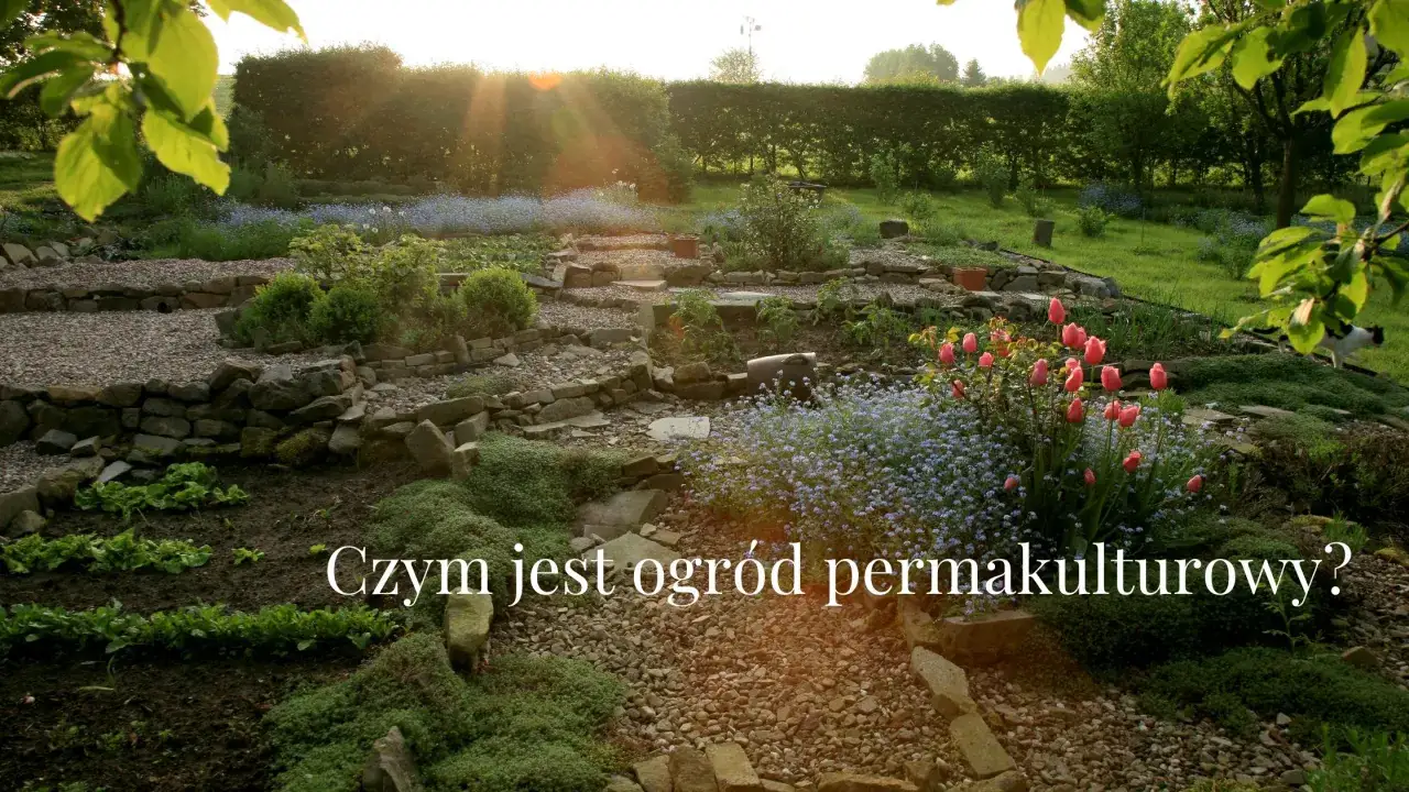 Kwiaty, warzywa i kamienne ścieżki tworzą harmonijny ogr&oacute;d permakulturowy.