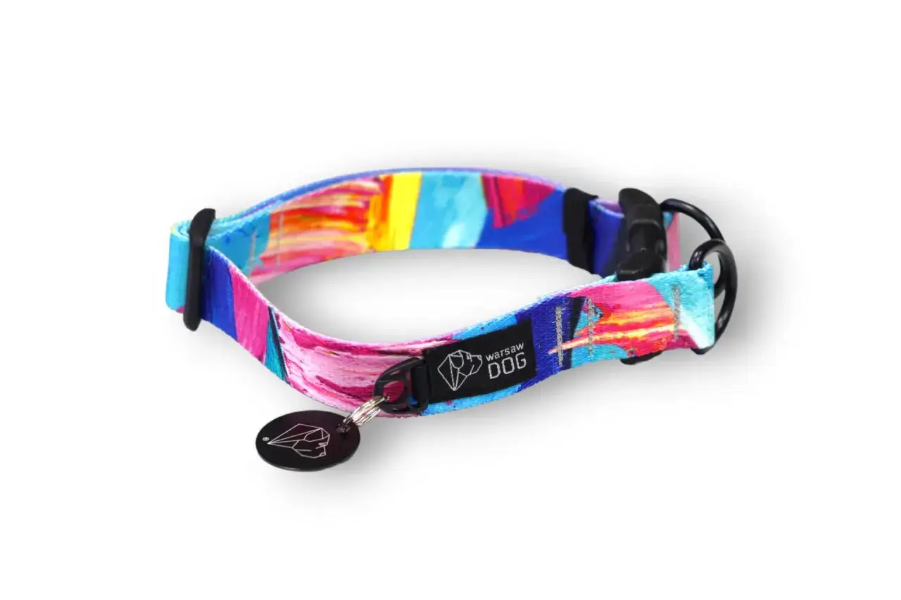 Pies w ręcznie robionej, spersonalizowanej obroży