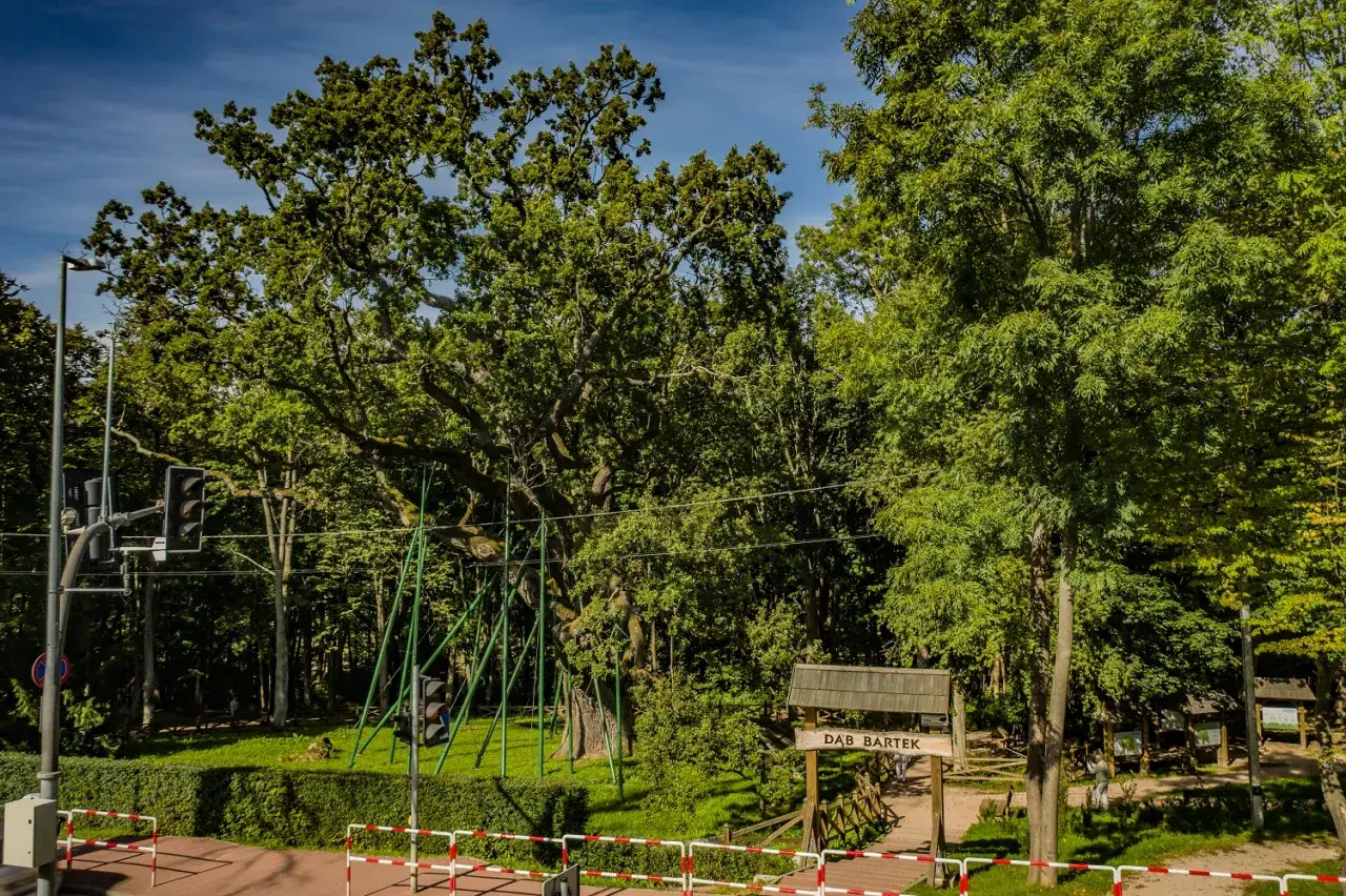 Zdjęcie Zagnańsk atrakcje, które zaskoczą każdego turystę i odkryją piękno regionu