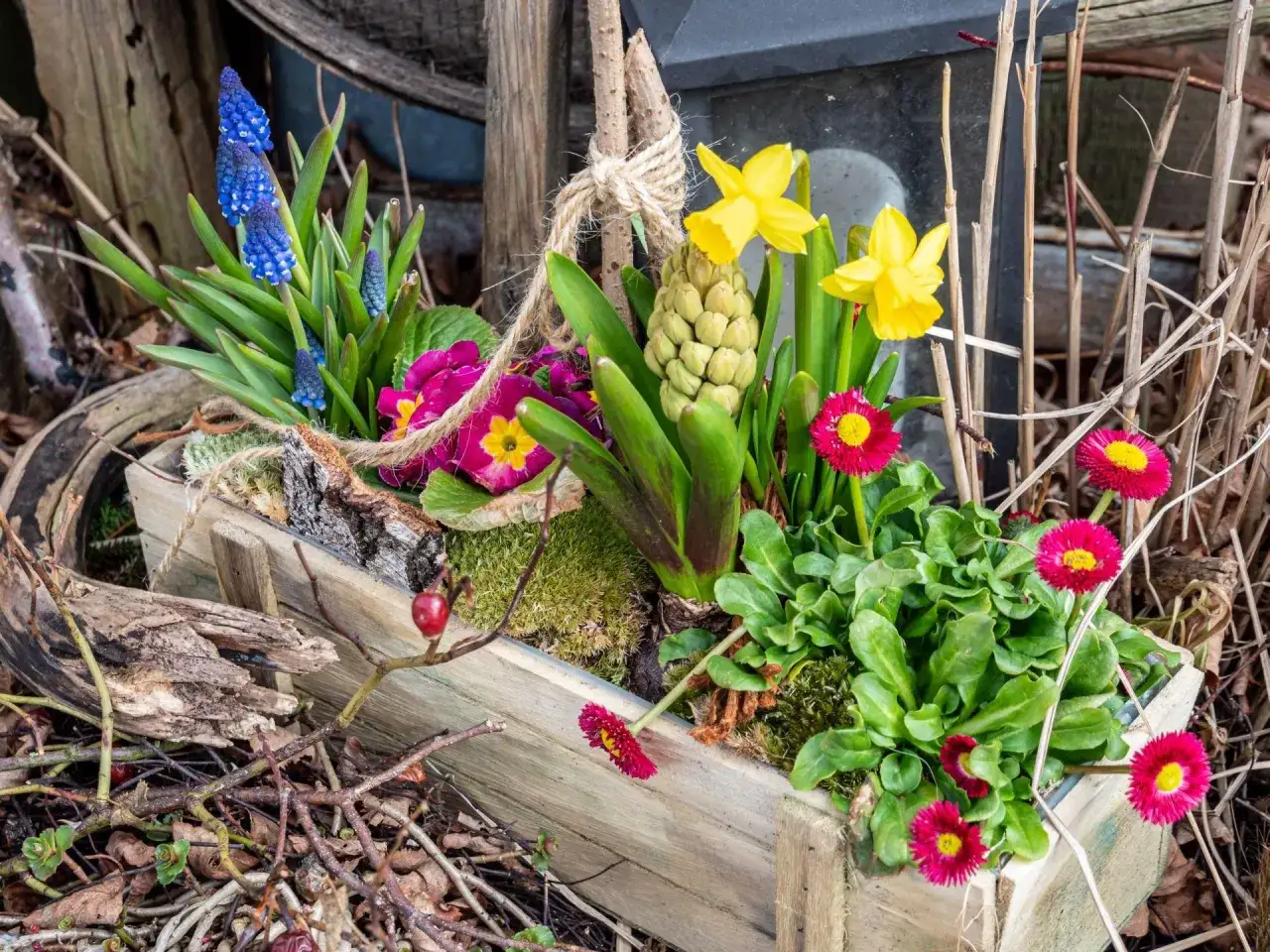 aranżacje kwiat&oacute;w w domu, kompozycje roślinne