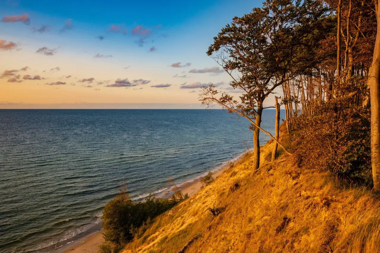 Zachód słońca nad morzem, złota plaża i las na klifie. Idealne, fajne miejsce nad morzem dla dwojga na romantyczny spacer.