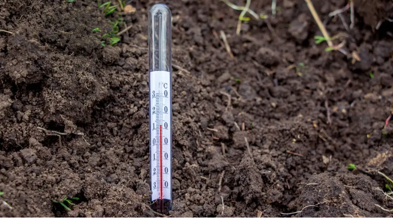 Termometr w ziemi pokazuje temperaturę, idealną do siewu.