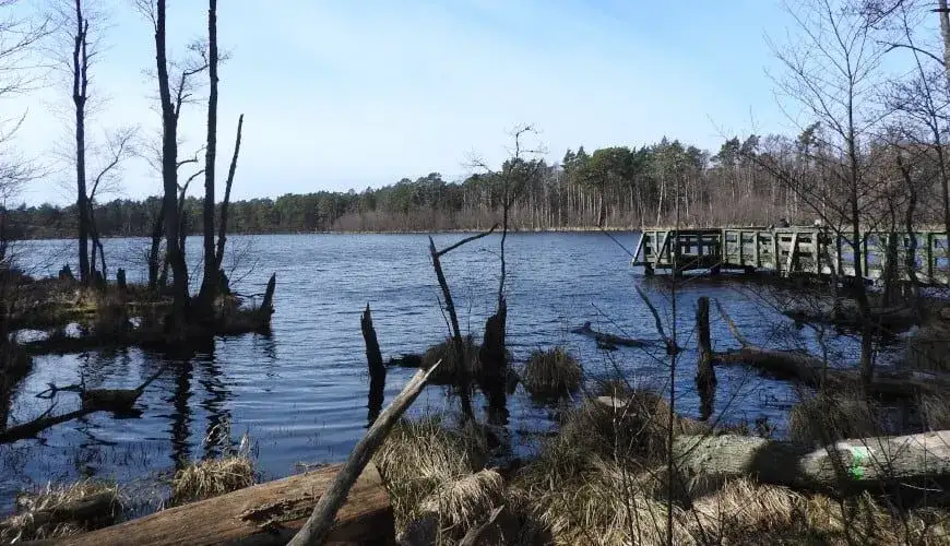 Jezioro Dołgie Małe Słowiński Park Narodowy