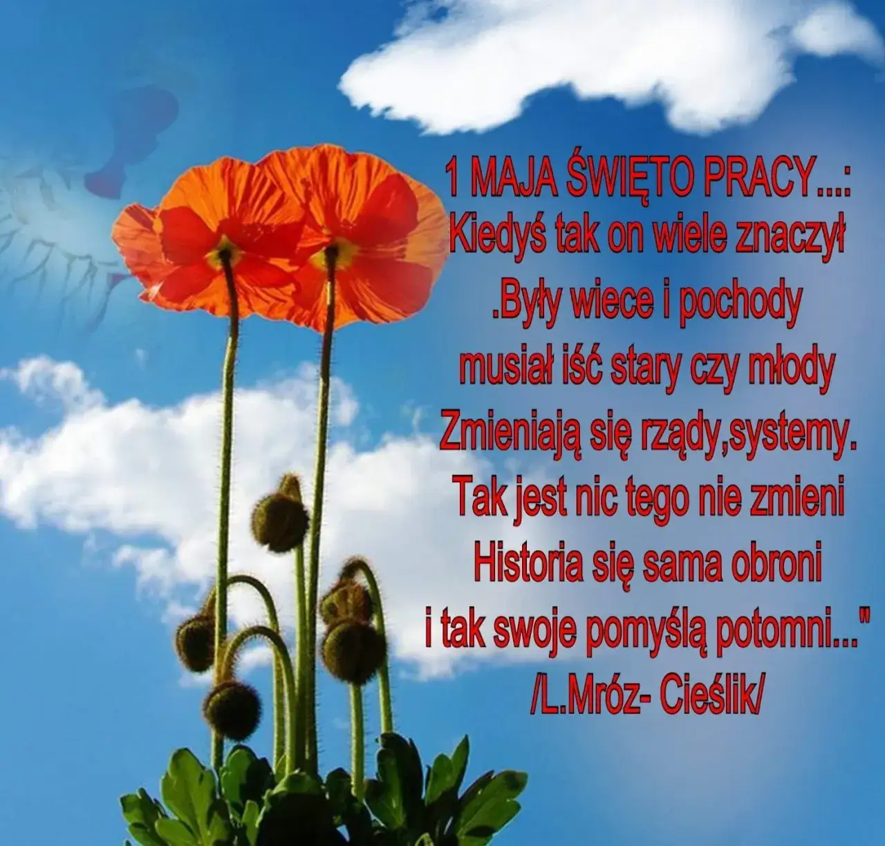 życzenia na 1 maja r&oacute;żnorodne przykłady