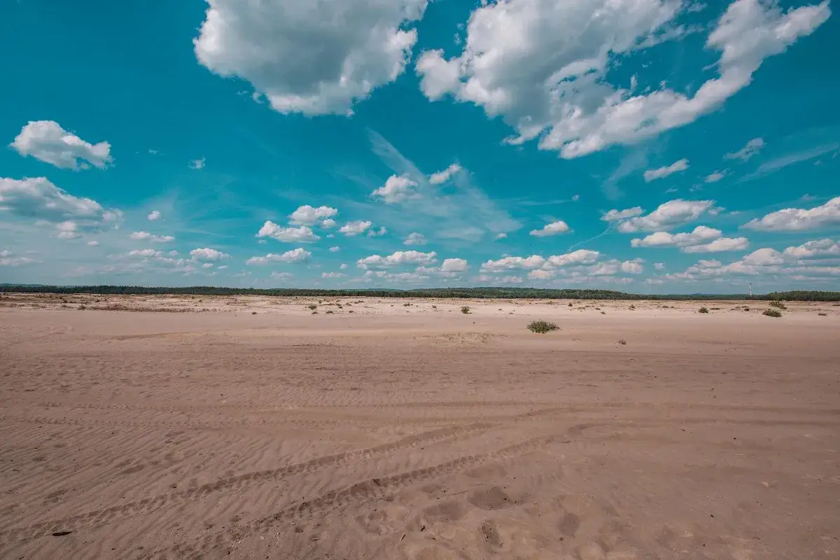 Pustynia Błędowska pod błękitnym niebem z białymi chmurami. Piasek z widocznymi śladami opon i nielicznymi kępkami roślinności.