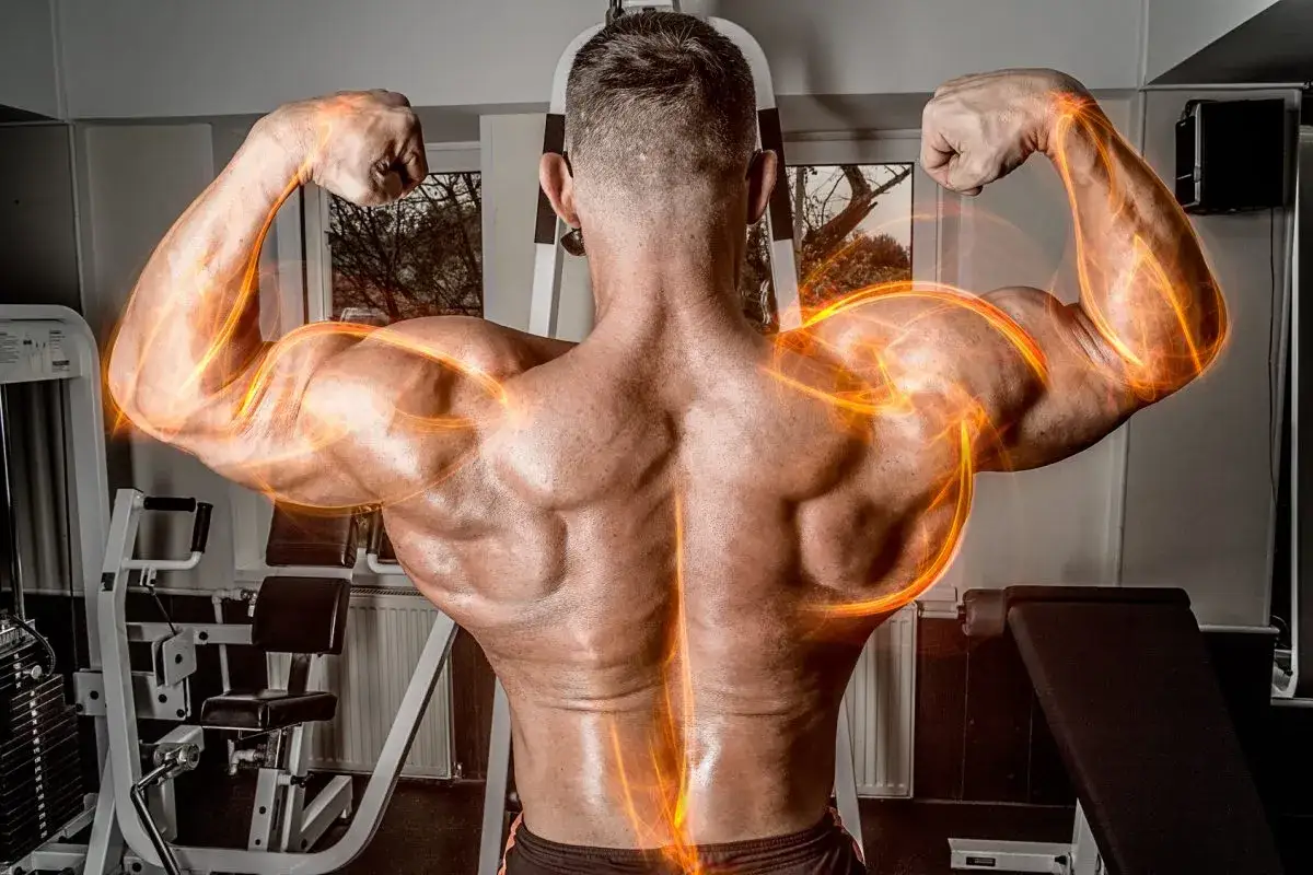 Mięśnie kulturysty w ogniu, pokazujące efekt hipertrofii. Widok z tyłu na potężne ramiona i plecy.