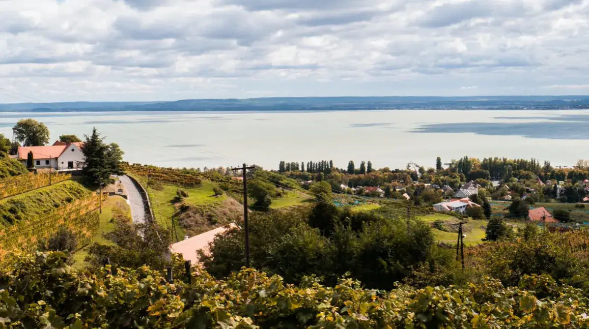 Winnice Badacsony Balaton