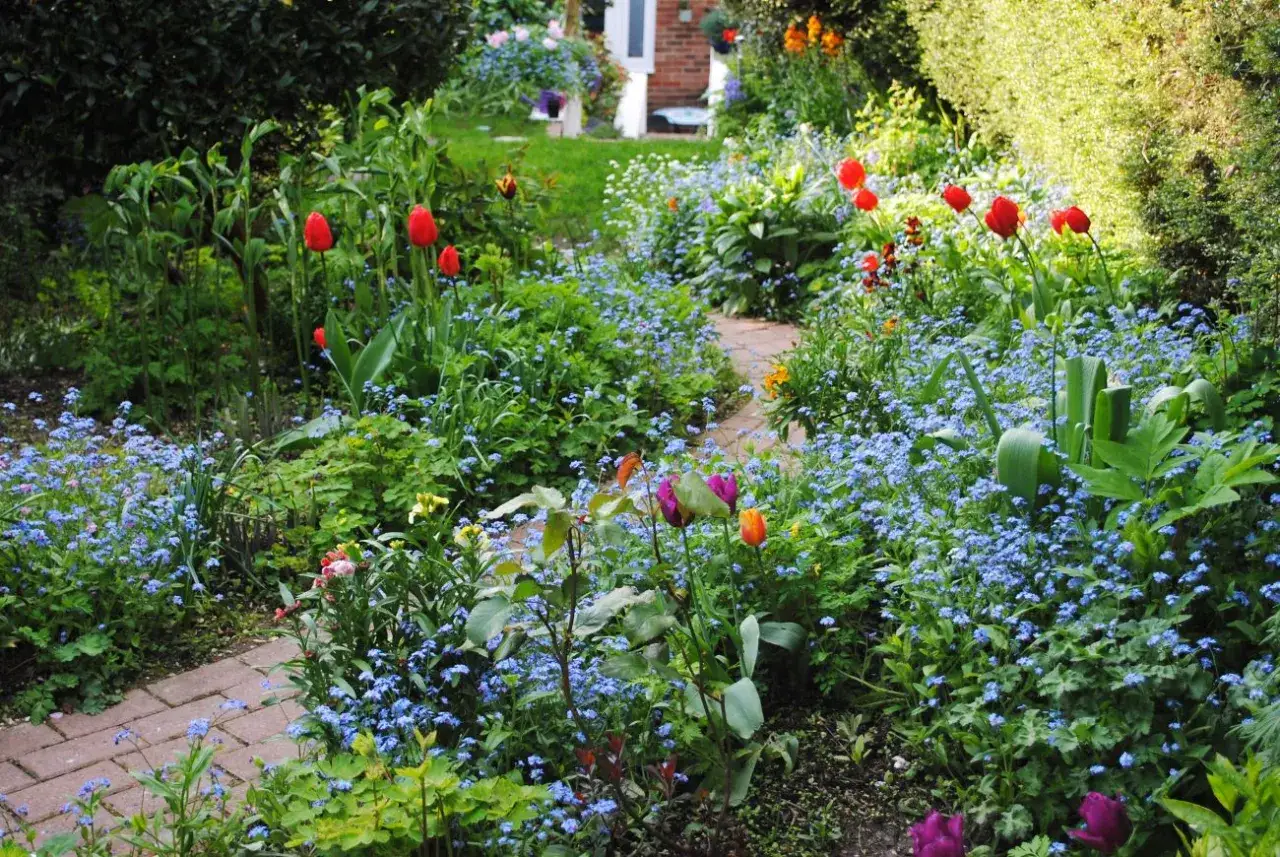 Kwiatowy raj w maju: czerwone tulipany, niebieskie niezapominajki i kolorowe bratki. Idealny czas, by pomyśleć, co siać w maju, by cieszyć się takim widokiem.